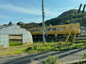 muniraが撮影した田園を走る黄色い電車